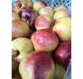 Nectarina -10bd 500gr