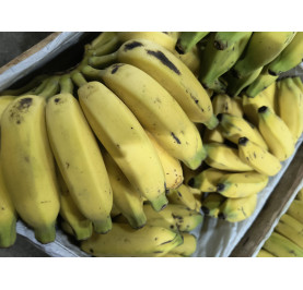 Banana Prata Cx.15kg