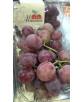 Uva Red Globe 10bd