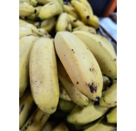 Banana Maça - Cx. 9kg